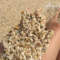 фото из отзыва ID 1784392