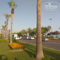 фото из отзыва ID 1784392