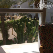 фото из отзыва ID 1784406