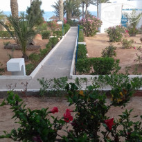 фото из отзыва ID 1784420