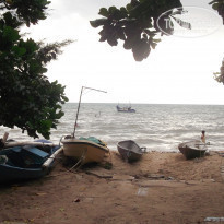 фото из отзыва ID 1784554