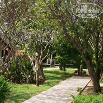 фото из отзыва ID 1784554