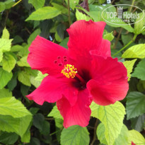 фото из отзыва ID 1784704