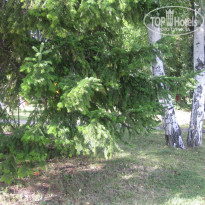 фото из отзыва ID 1784834