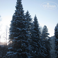 фото из отзыва ID 1784834