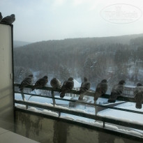 фото из отзыва ID 1784834