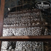 фото из отзыва ID 1784908