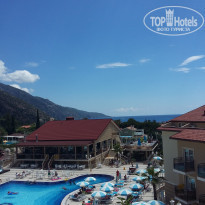 фото из отзыва ID 1784935