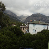 фото из отзыва ID 1785085