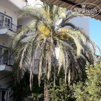 фото из отзыва ID 1785193