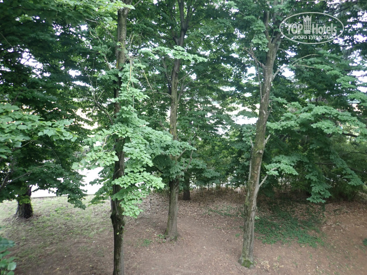 New photos from tourists Green Park Bologna Hotel & Congressi 4*