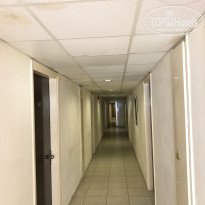 фото из отзыва ID 1785236