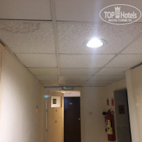 фото из отзыва ID 1785236