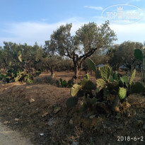 фото из отзыва ID 1785322