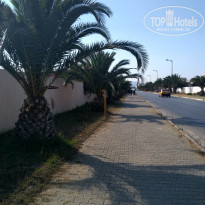 фото из отзыва ID 1785322