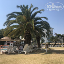 фото из отзыва ID 1785333