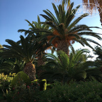 фото из отзыва ID 1785450