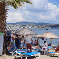 фото из отзыва ID 1785456