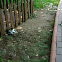 фото из отзыва ID 1785527