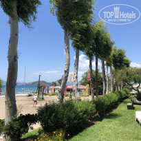 фото из отзыва ID 1785545