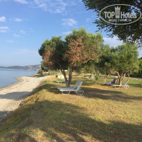 фото из отзыва ID 1785567