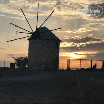 фото из отзыва ID 1785630