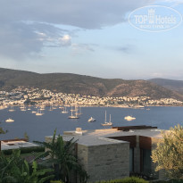 фото из отзыва ID 1785630