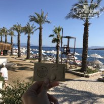 фото из отзыва ID 1785630