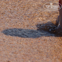 фото из отзыва ID 1785645