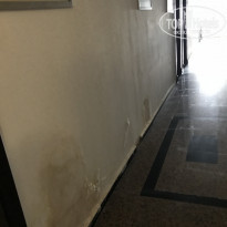 фото из отзыва ID 1785725