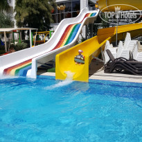 фото из отзыва ID 1785793