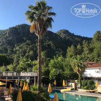 фото из отзыва ID 1785835