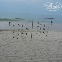 фото из отзыва ID 1786021