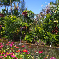 фото из отзыва ID 1786064