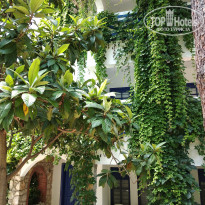 фото из отзыва ID 1786162