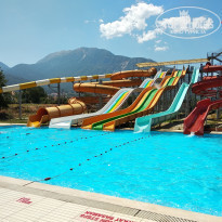 фото из отзыва ID 1786162