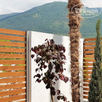 фото из отзыва ID 1786202