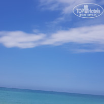 фото из отзыва ID 1786239