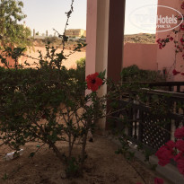 фото из отзыва ID 1786260