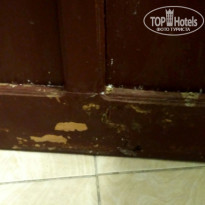 фото из отзыва ID 1786305