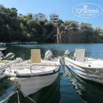 фото из отзыва ID 1786313