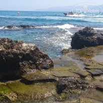 фото из отзыва ID 1786313