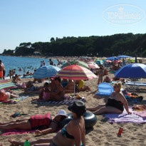 фото из отзыва ID 1786423