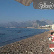 фото из отзыва ID 1786490