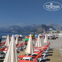 фото из отзыва ID 1786490