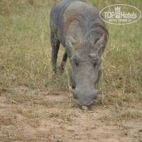 фото из отзыва ID 1786534