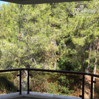 фото из отзыва ID 1786569