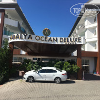 фото из отзыва ID 1786592