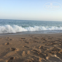 фото из отзыва ID 1786729