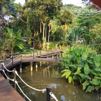 фото из отзыва ID 1786805